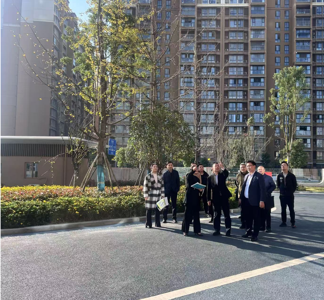 副市長徐春龍調(diào)研德陽市老年養(yǎng)護(hù)院、德陽市民政精神衛(wèi)生福利機(jī)構(gòu)項目建設(shè)工作